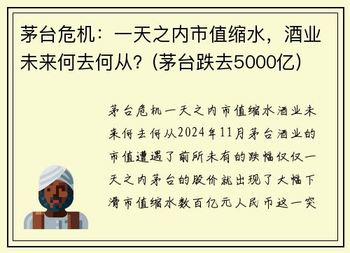 茅台危机：一天之内市值缩水，酒业未来何去何从？(茅台跌去5000亿)