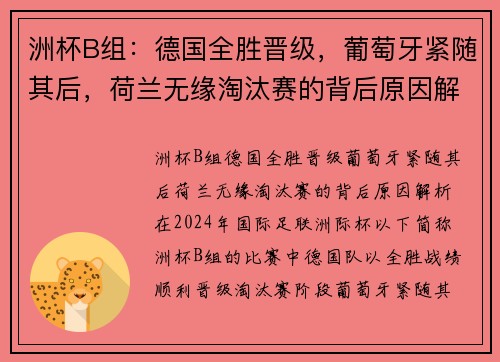 洲杯B组：德国全胜晋级，葡萄牙紧随其后，荷兰无缘淘汰赛的背后原因解析